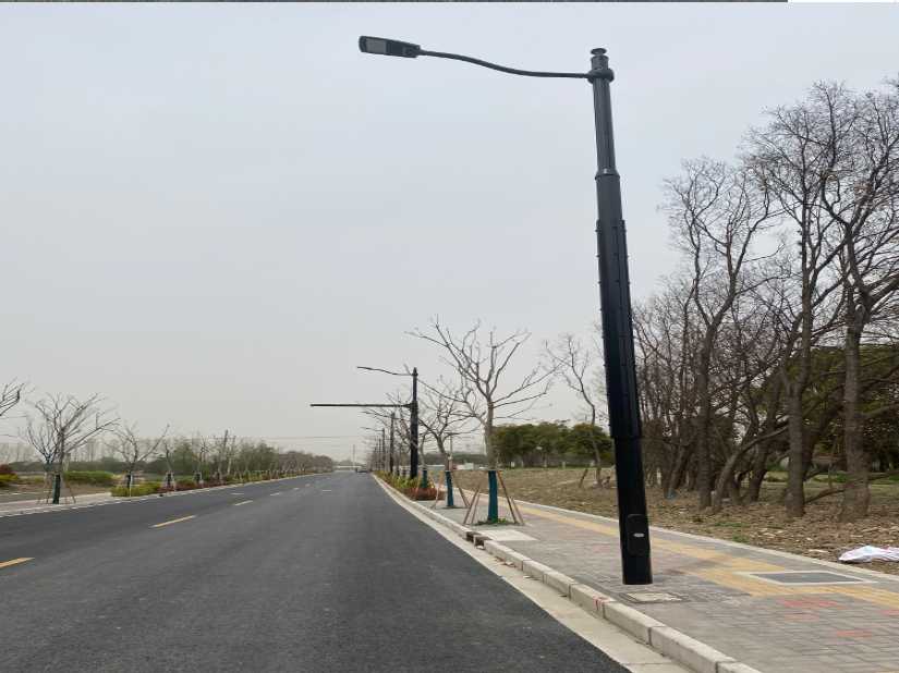 广东上海综合杆 太阳能路灯工程